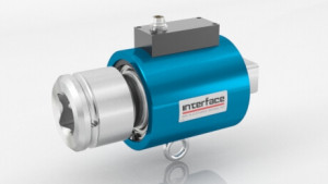 Rotary torque sensor